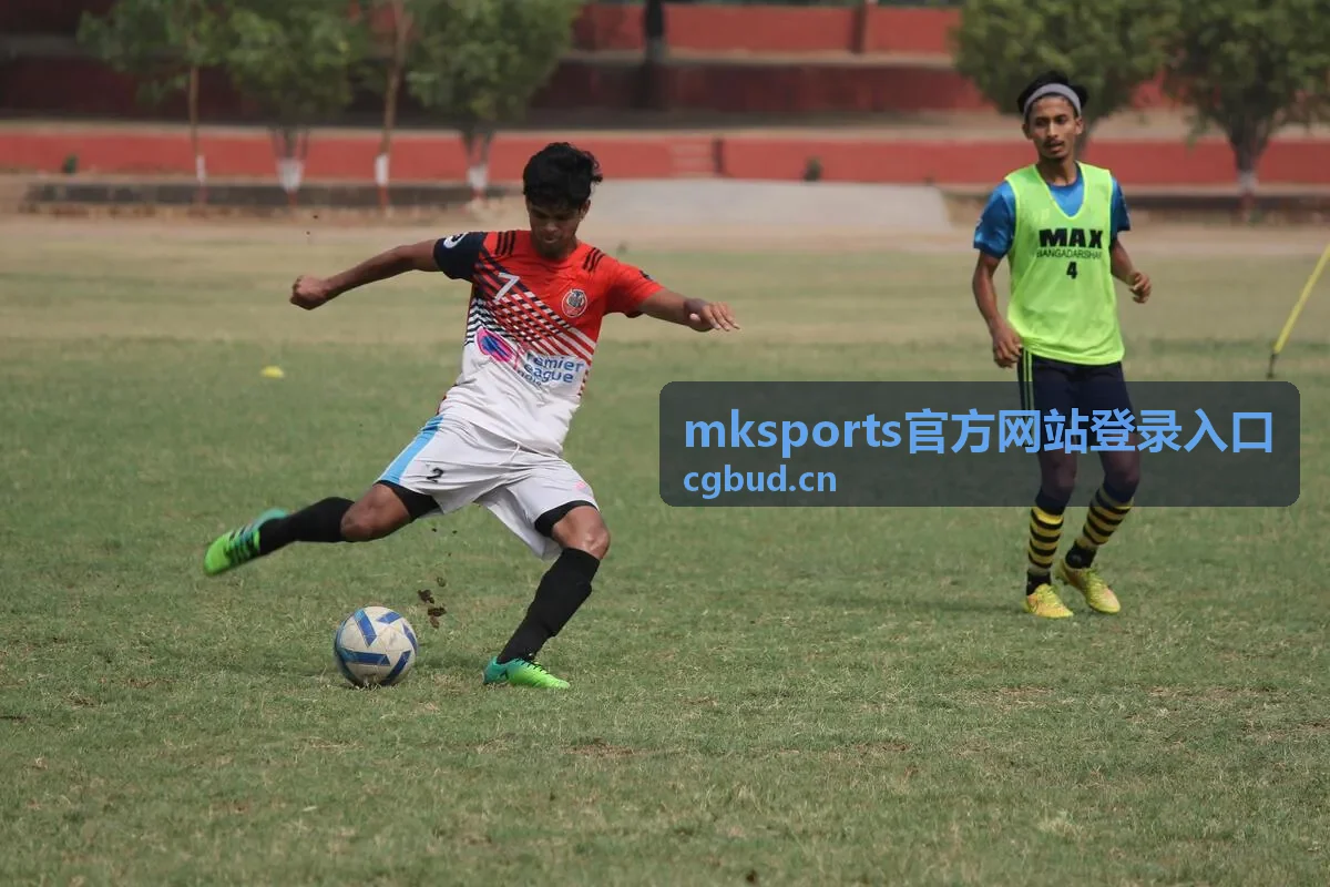 MKSports官方网站登录入口客户端安装完成后的登录界面