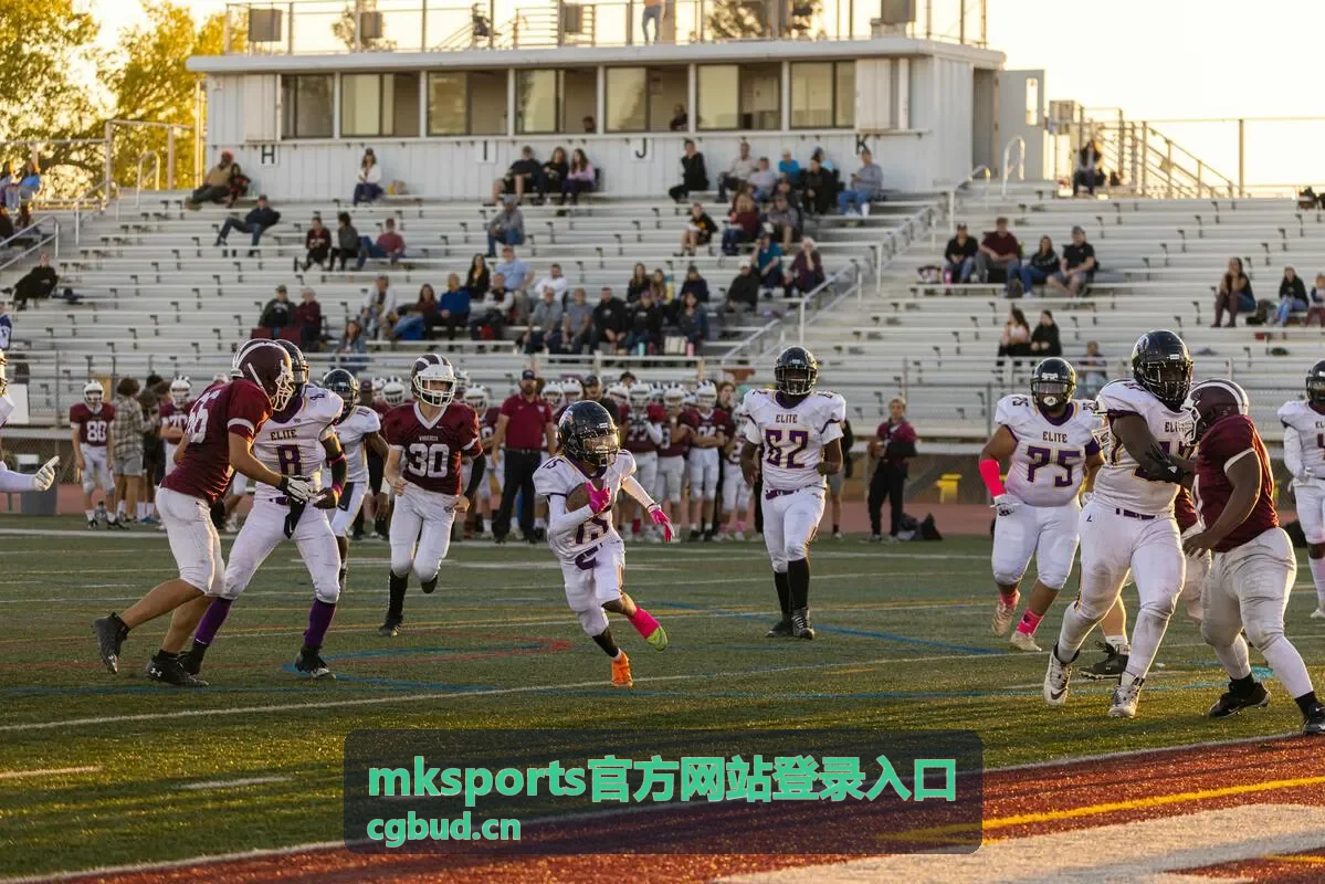 MKSports官方网站登录入口版本更新与设备配置说明配图