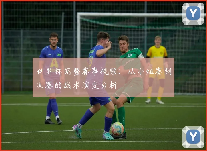 世界杯完整赛事视频：从小组赛到决赛的战术演变分析