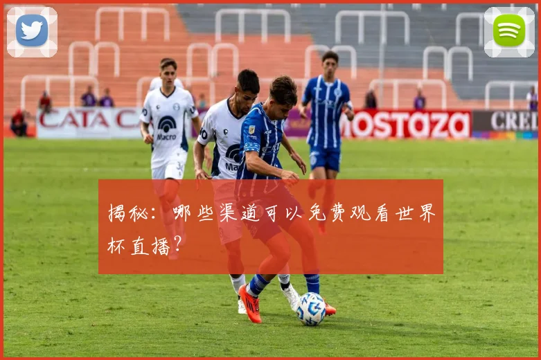 揭秘：哪些渠道可以免费观看世界杯直播？