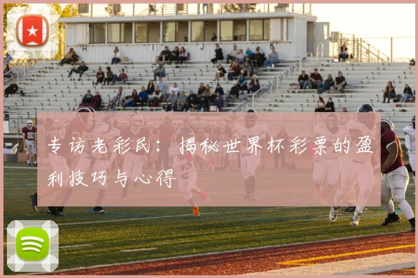 专访老彩民:揭秘世界杯彩票的盈利技巧与心得