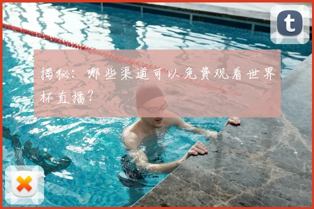 揭秘：哪些渠道可以免费观看世界杯直播？