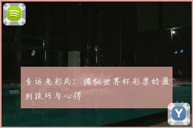 专访老彩民:揭秘世界杯彩票的盈利技巧与心得
