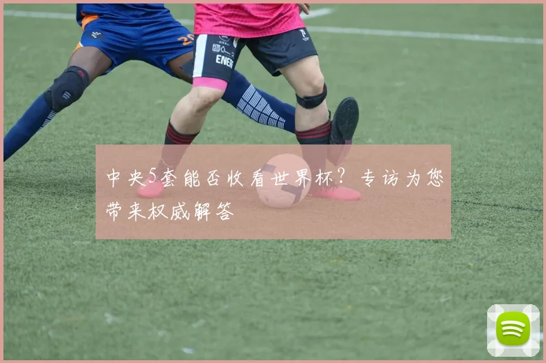 中央5套能否收看世界杯？专访为您带来权威解答